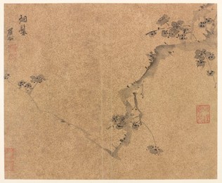 Image 621061209
