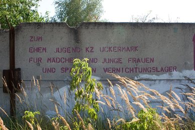 Image 621132792