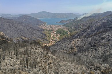 Image 624525330