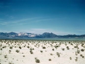 Mojave desert, landscape, nature, California, historical,