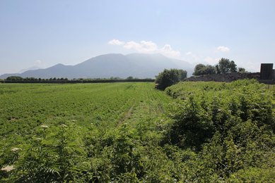Image 627362435