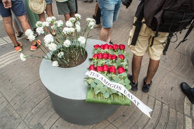 Image 627479445