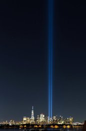 Image 631556930