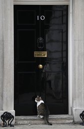 Image 632262716
