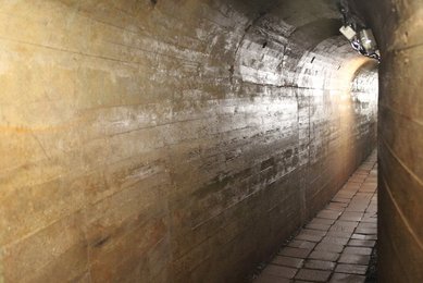 Image 637093623