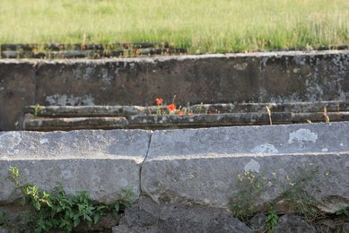 Image 637093685