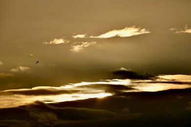 Image 639022484