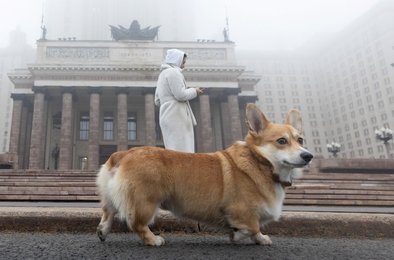 Image 641134641
