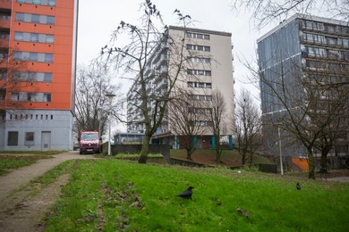 Image 647884185
