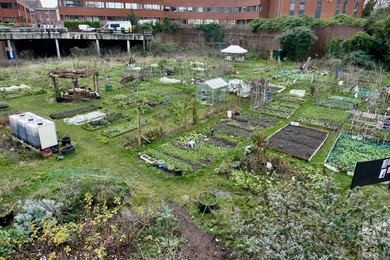 Image 649615791