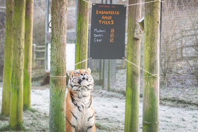 Image 651022696