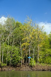 Image 651281096