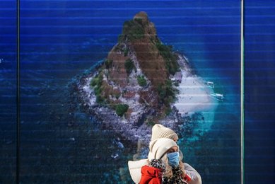 Image 652012507