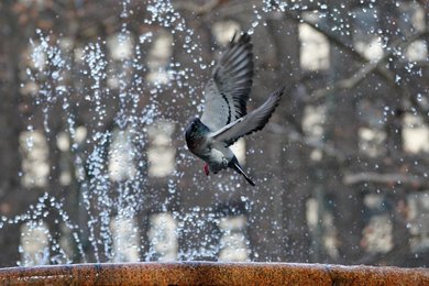 Image 652013957