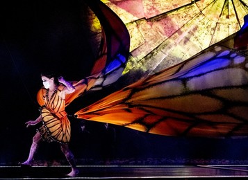 Luzia' Cirque Du Soleil