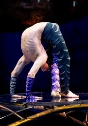 Luzia' Cirque Du Soleil