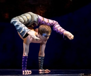 Luzia' Cirque Du Soleil
