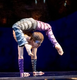 Luzia' Cirque Du Soleil