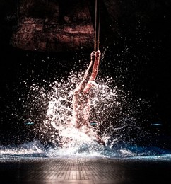 Luzia' Cirque Du Soleil