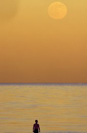 Image 653840632