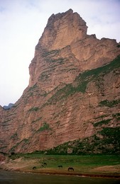 Image 655171921