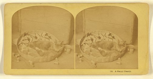 A Happy Family., 1869