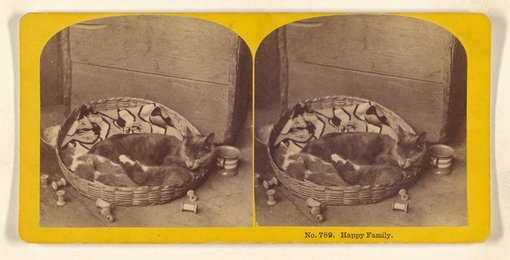 Happy Family., 1869
