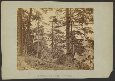 Etude d'Apres Nature, 1870