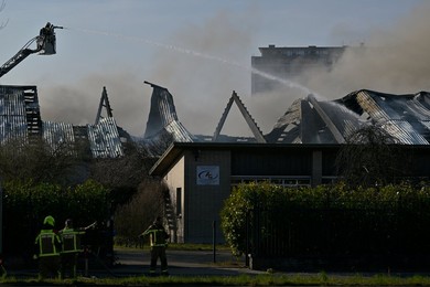 FIRE WILRIJK