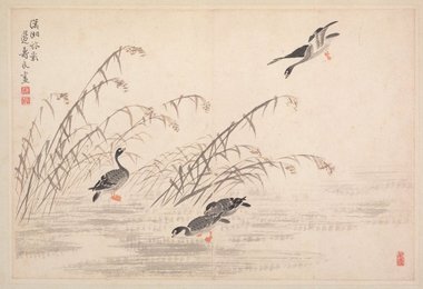 Image 670985213