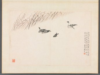 Image 670985214