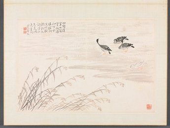 Image 670985217