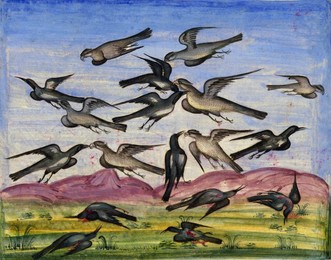 Persia / Iran: Detail from the illuminated manuscript 'The Lights of Canopus' (<i>Anwar-i Suhayli</i>) depicting a vicious fight between hawks or falcons and crows or ravens, by Mirza Rahim, 19th century, Iran