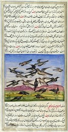 Persia / Iran: Page from the illuminated manuscript 'The Lights of Canopus' (<i>Anwar-i Suhayli</i>) depicting a vicious fight between hawks or falcons and crows or ravens, by Mirza Rahim, 19th century, Iran