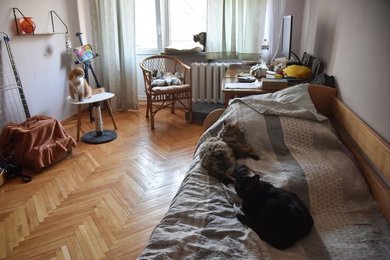 Image 673060672