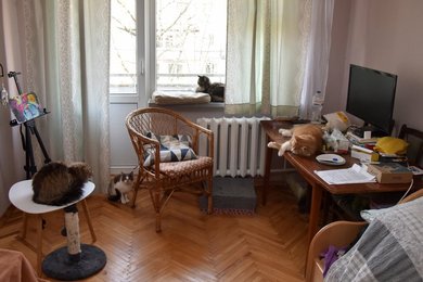 Image 673060685