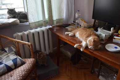 Image 673060728