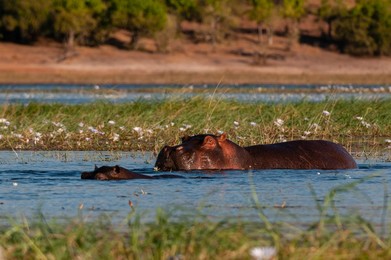 Image 683319080