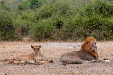 Image 683319092