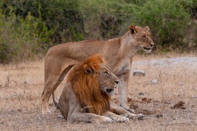 Image 683319095