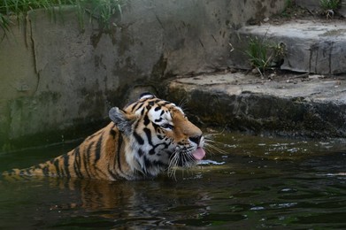Image 684629915