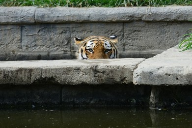 Image 684630087