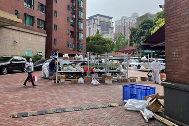 Image 687640177
