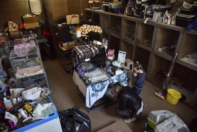 Image 688859564