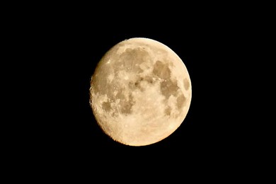 Image 691308290