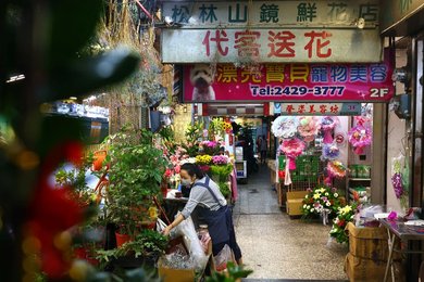 Image 693703683