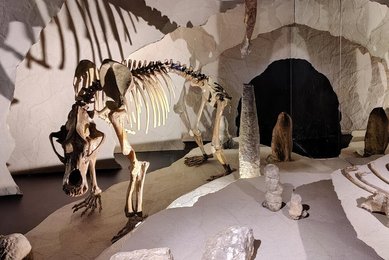 Image 695707768