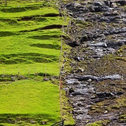 Image 695707836