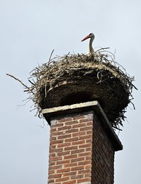 Image 696037723