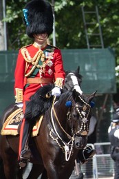 Image 696384976